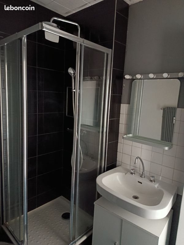 Appartement à louer, 22m², Saint-Etienne