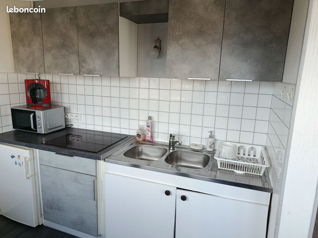 Appartement à louer, 22m², Saint-Etienne