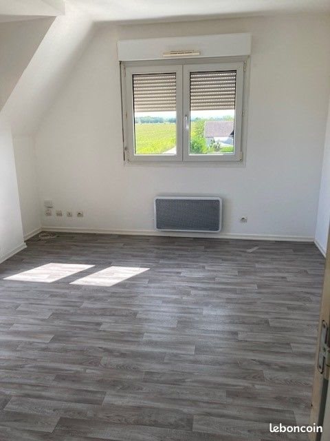Appartement à louer, 50m², Bantzenheim