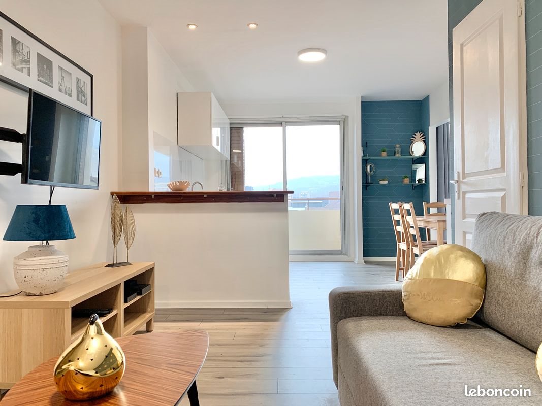 Appartement à louer, 37m², Grenoble