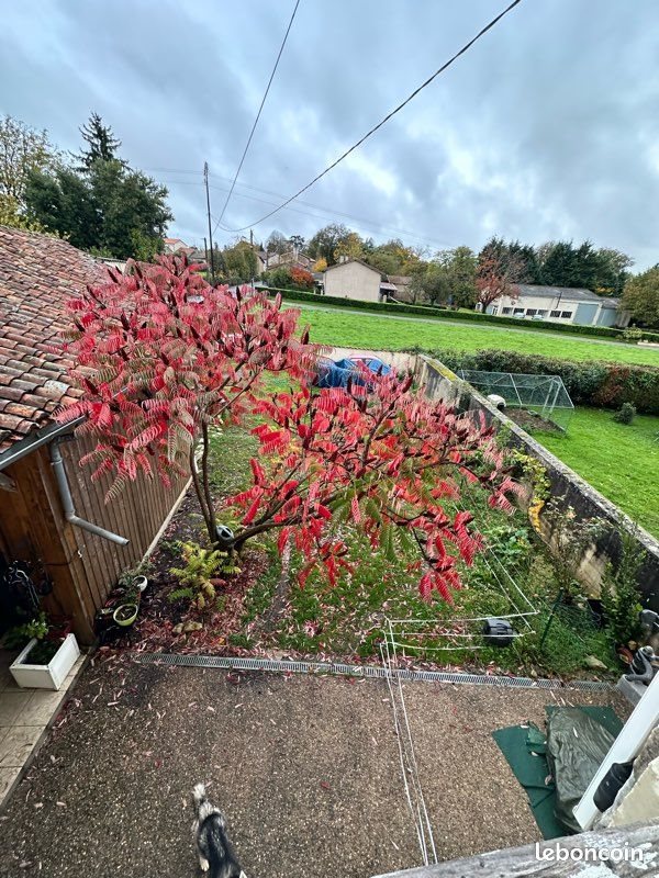 Appartement à louer, 45m², Saint-Claud