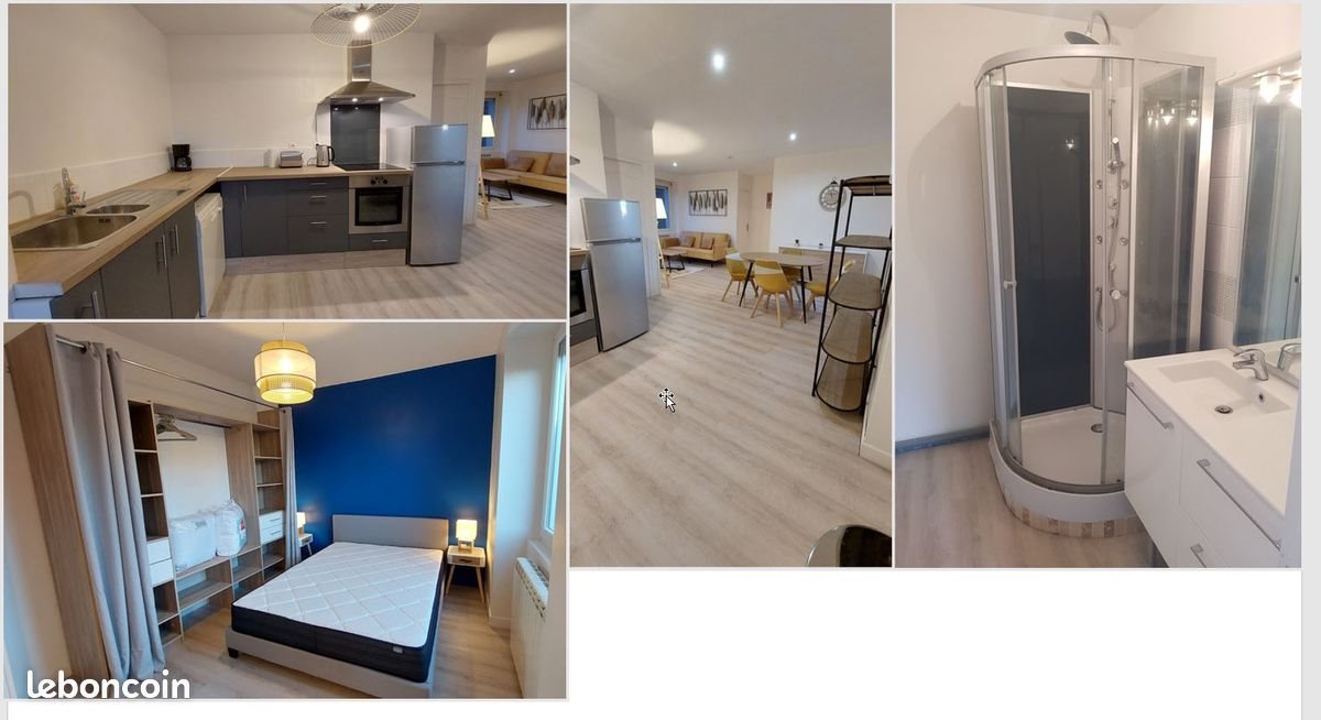 Appartement à louer, 45m², Saint-Genest-Lerpt