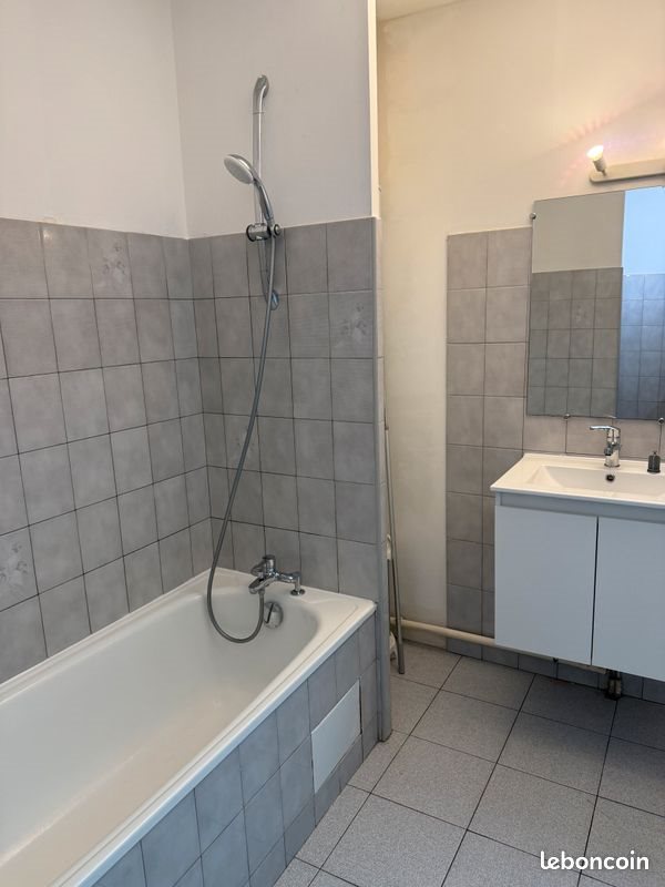 Appartement à louer, 50m², Fronton