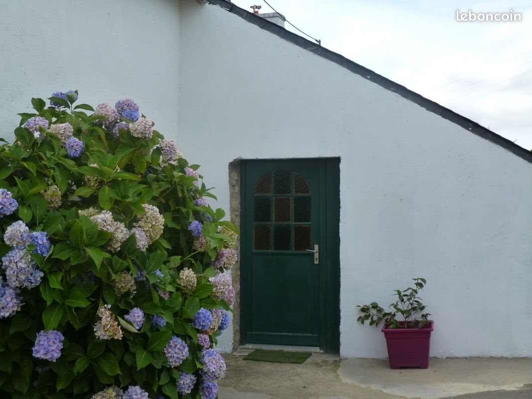 Appartement à louer, 19m², Arradon