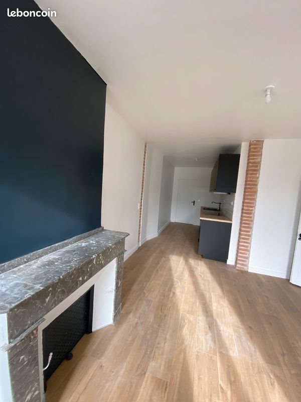 Appartement à louer, 46m², Carmaux