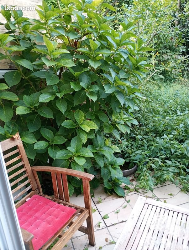 Maison à vendre, 250m², Lille