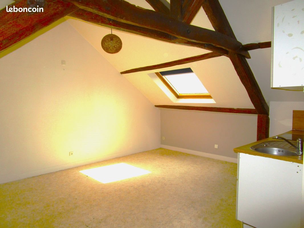 Appartement à louer, 35m², Châteauneuf-sur-Loire