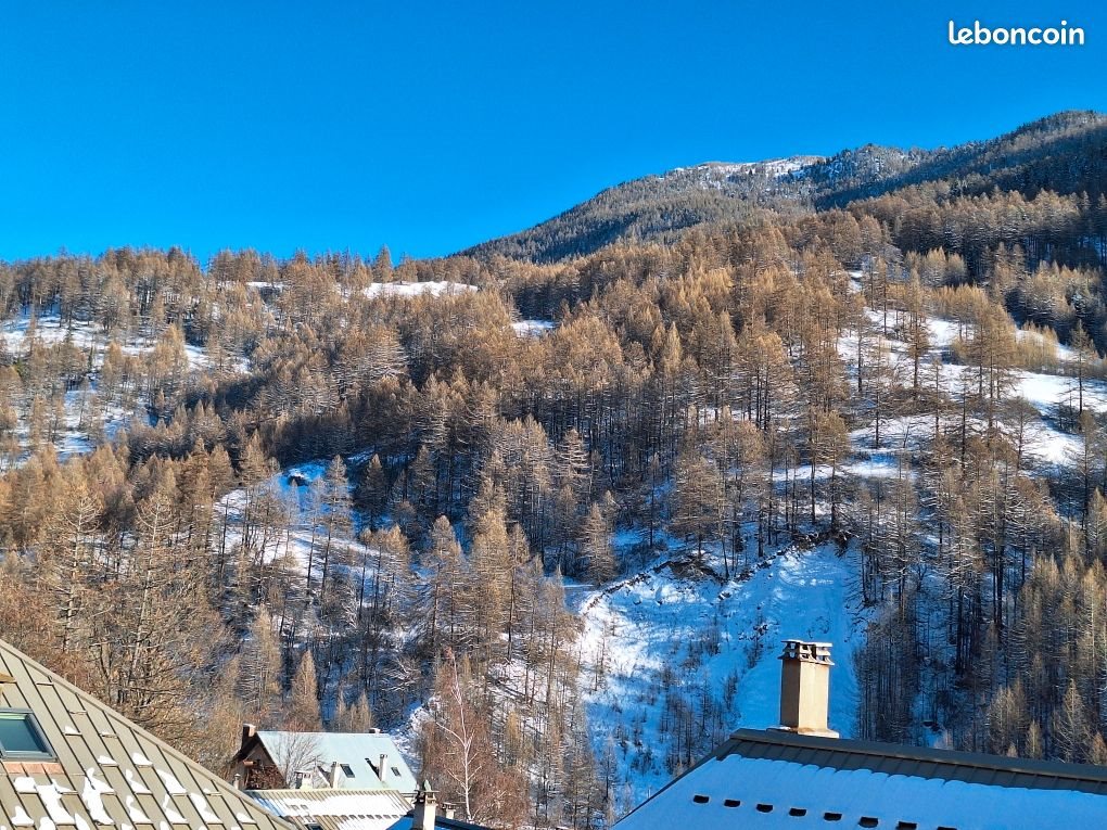 Appartement à vendre, 30m², Aiguilles