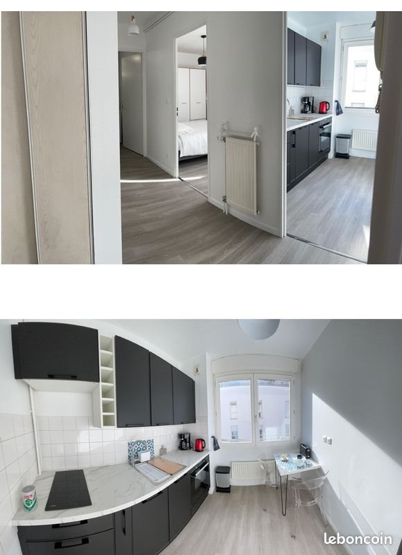 Appartement à louer, 45m², Lyon 7ème
