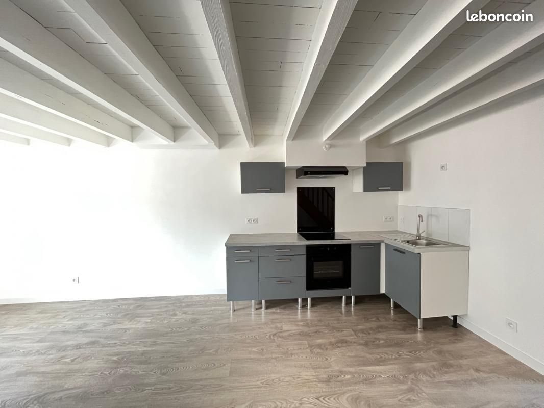 Appartement à louer, 58m², Saint-Etienne