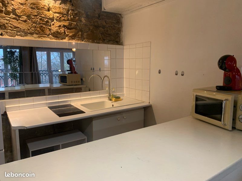 Appartement à louer, 49m², Lyon 1er