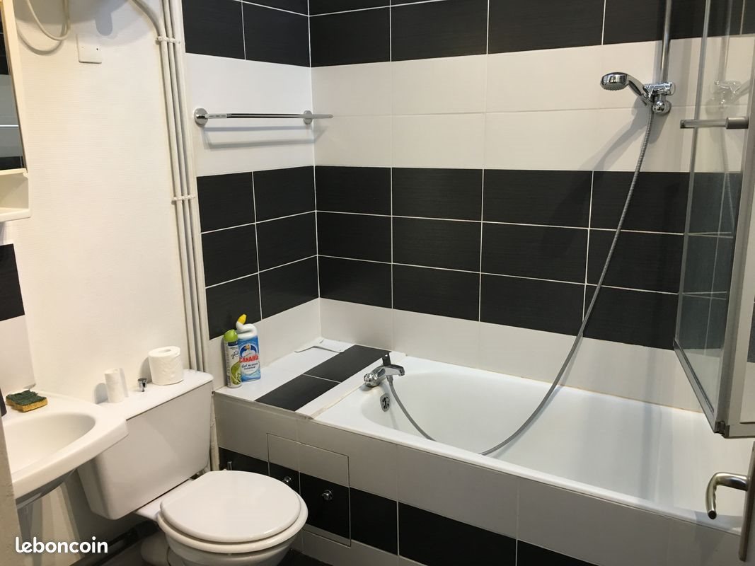 Appartement à louer, 29m², Lille