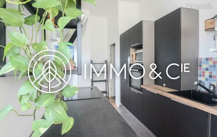 Appartement à vendre, 46m², Lille