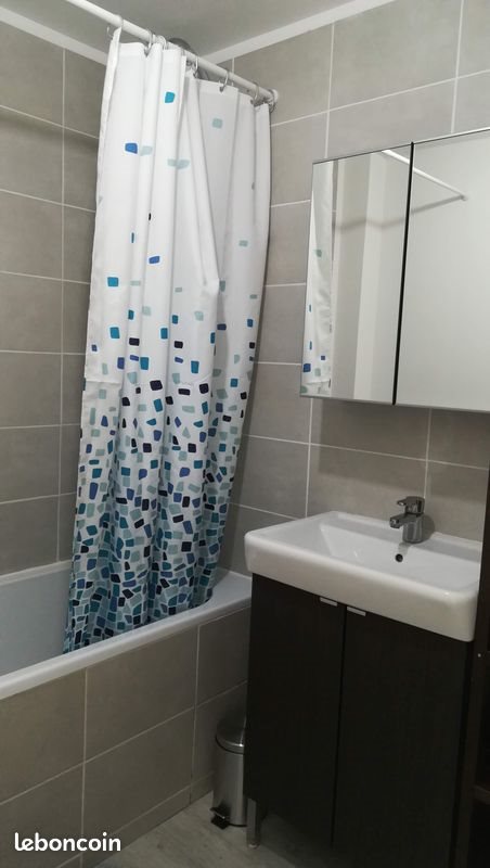 Appartement à louer, 43m², Lille