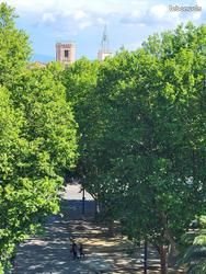 Appartement à louer, 56m², Perpignan