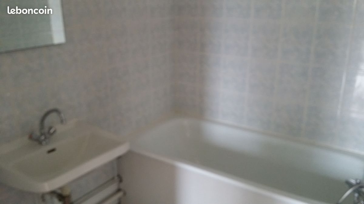 Appartement à louer, 30m², Nancy