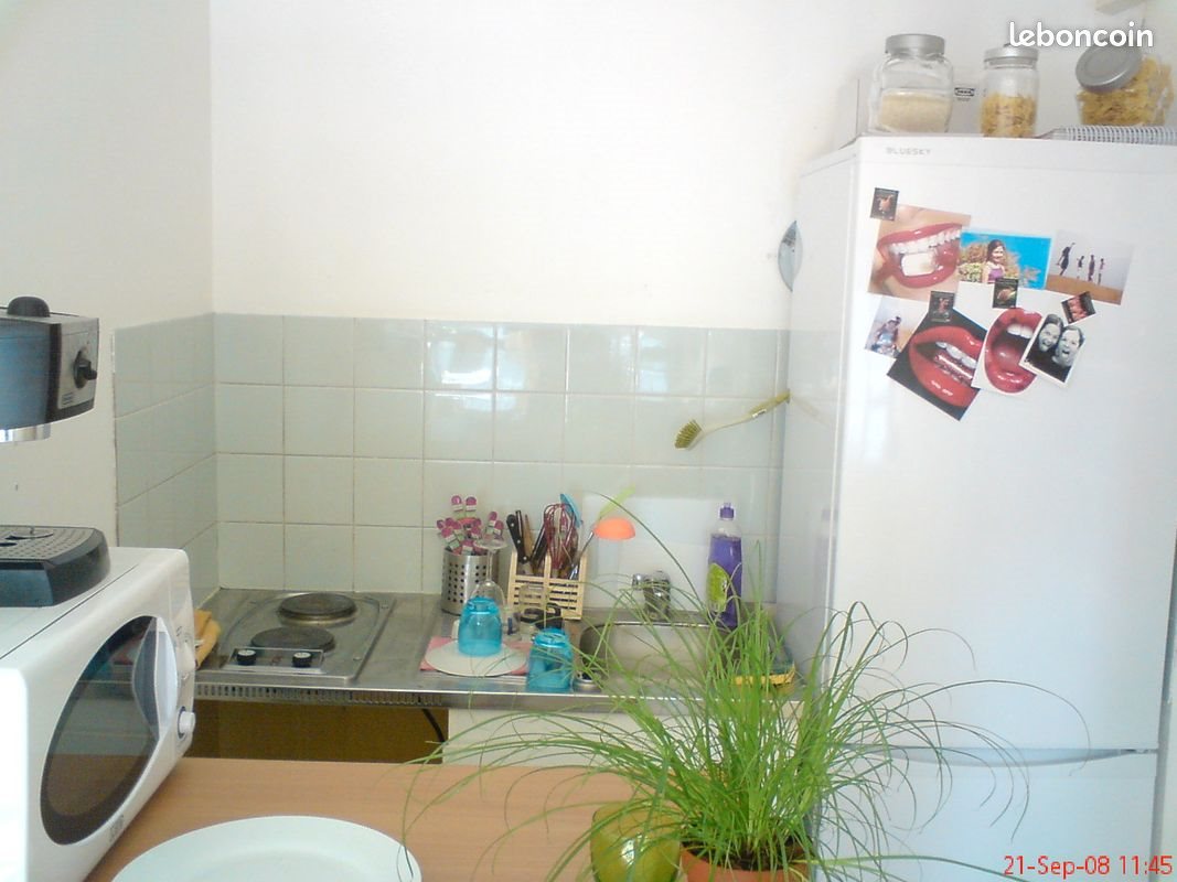 Appartement à louer, 38m², Lille