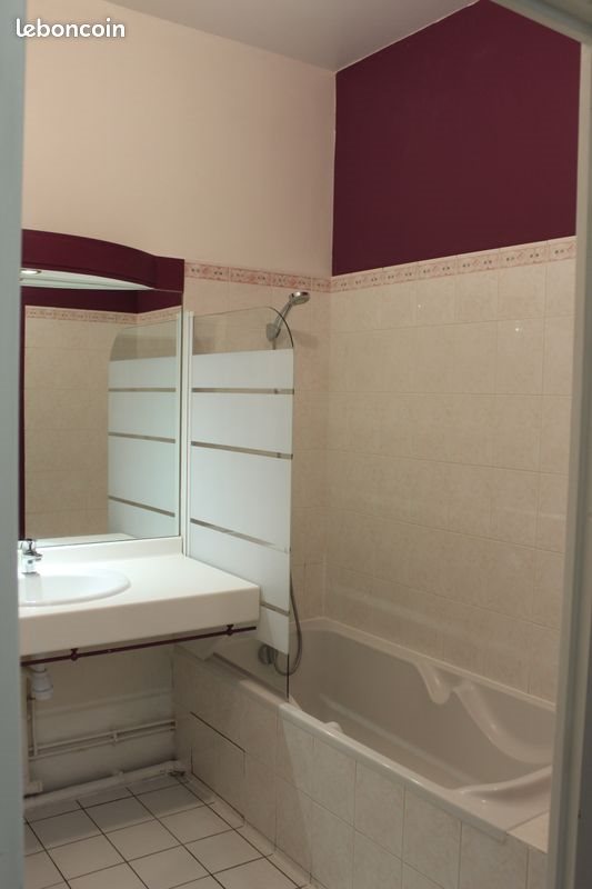 Appartement à louer, 48m², Reims