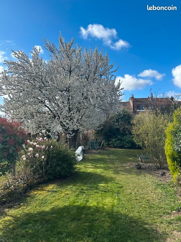 Maison à louer, 85m², Saint-André-lez-Lille