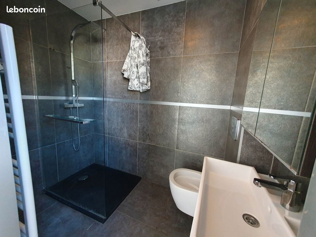 Appartement à louer, 34m², Le Chambon-Feugerolles