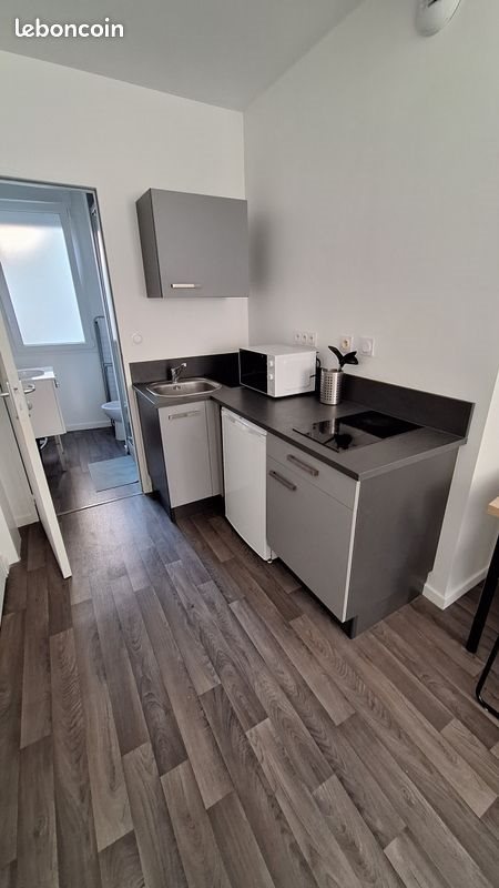 Appartement à louer, 15m², Angers