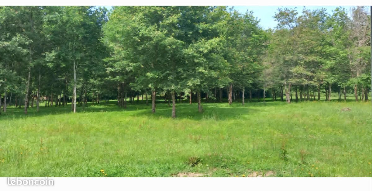 Maison à louer, 110m², Saint-Sever