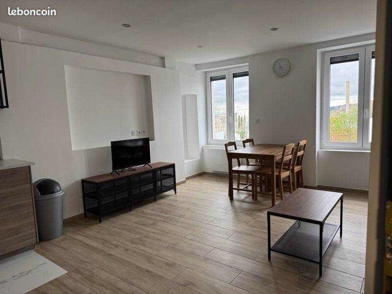 Appartement à louer, 49m², Saint-Etienne