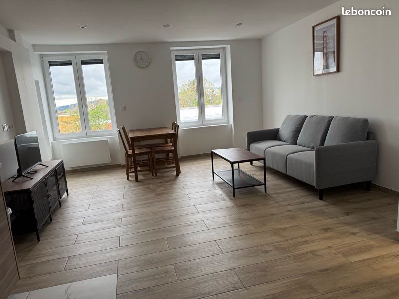 Appartement à louer, 49m², Saint-Etienne