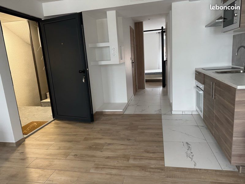 Appartement à louer, 49m², Saint-Etienne