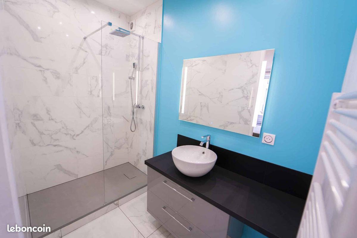 Appartement à vendre, 50m², Saint-Etienne