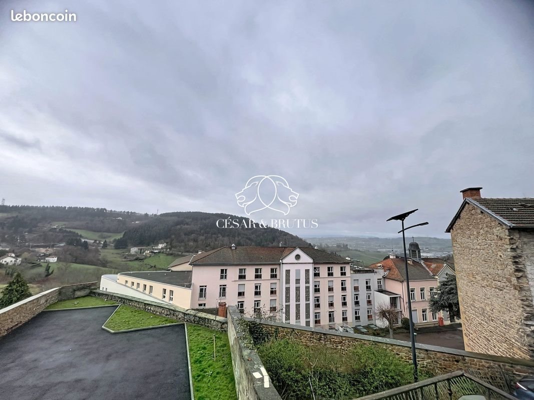Appartement à vendre, 44m², Thizy