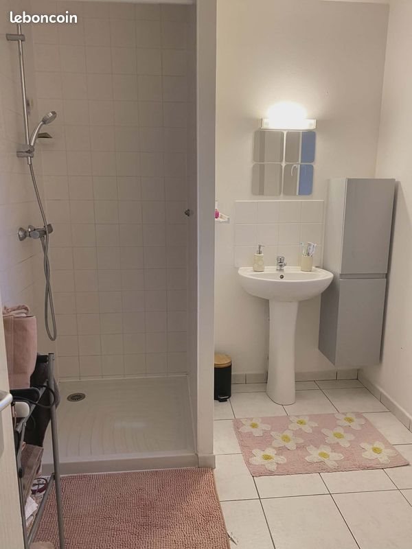 Appartement à louer, 57m², Bois-Bernard