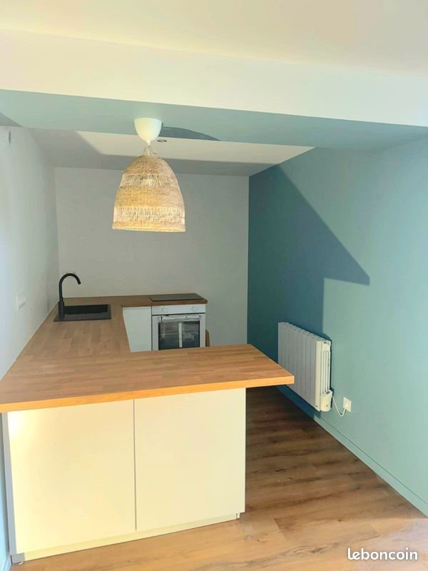 Appartement à louer, 40m², Saint-Etienne