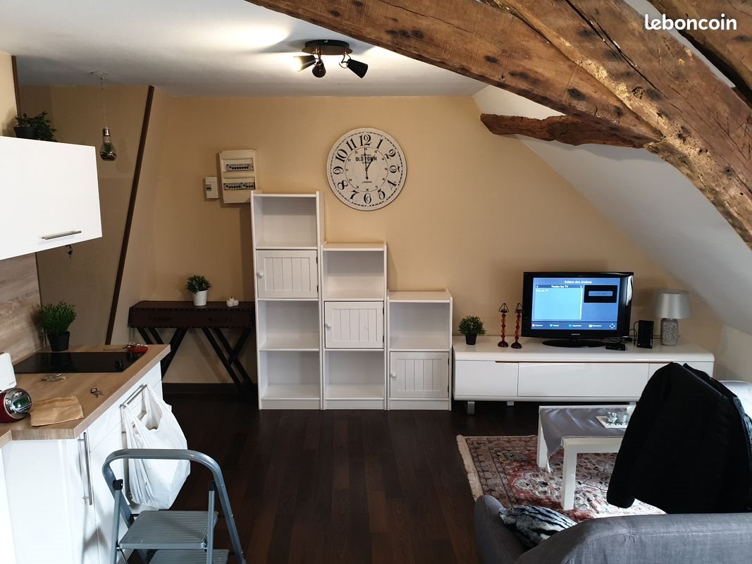Appartement à louer, 47m², Sully-sur-Loire
