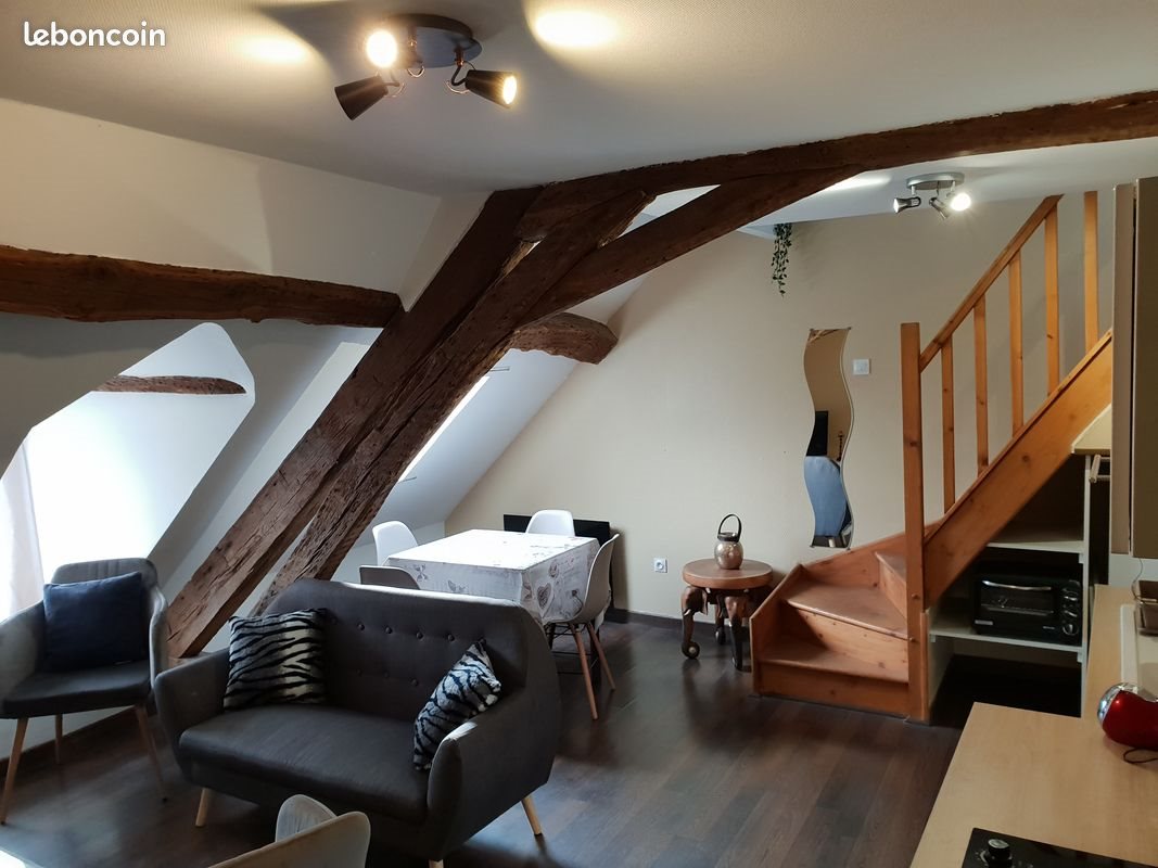 Appartement à louer, 47m², Sully-sur-Loire