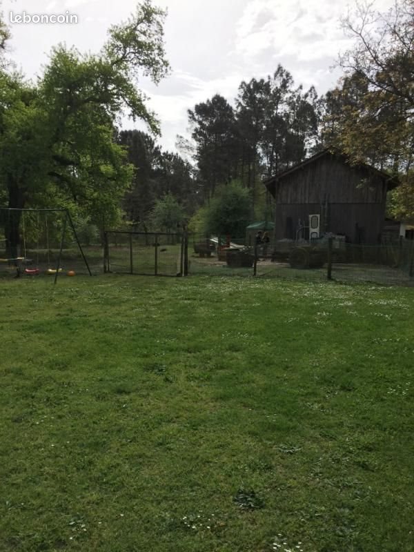 Maison à louer, 119m², Roquefort