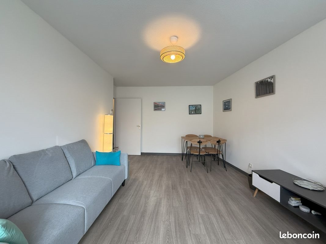 Appartement à louer, 51m², Lyon 8ème
