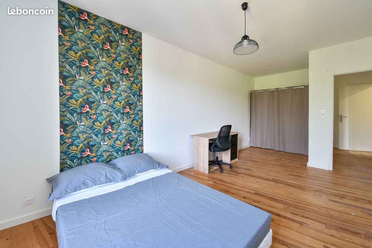 Appartement à louer, 17m², Saint-Papoul