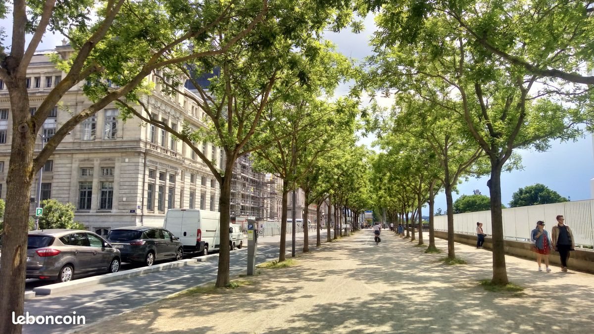 Appartement à louer, 24m², Lyon 7ème