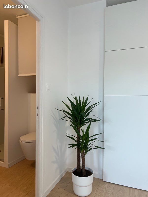 Appartement à louer, 20m², Longwy