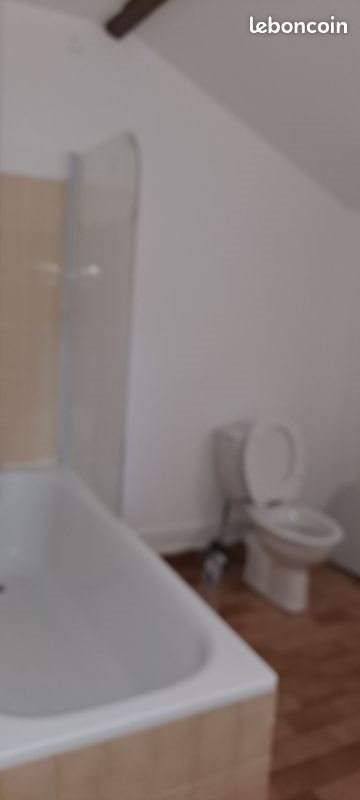 Appartement à louer, 26m², Fleury-les-Aubrais