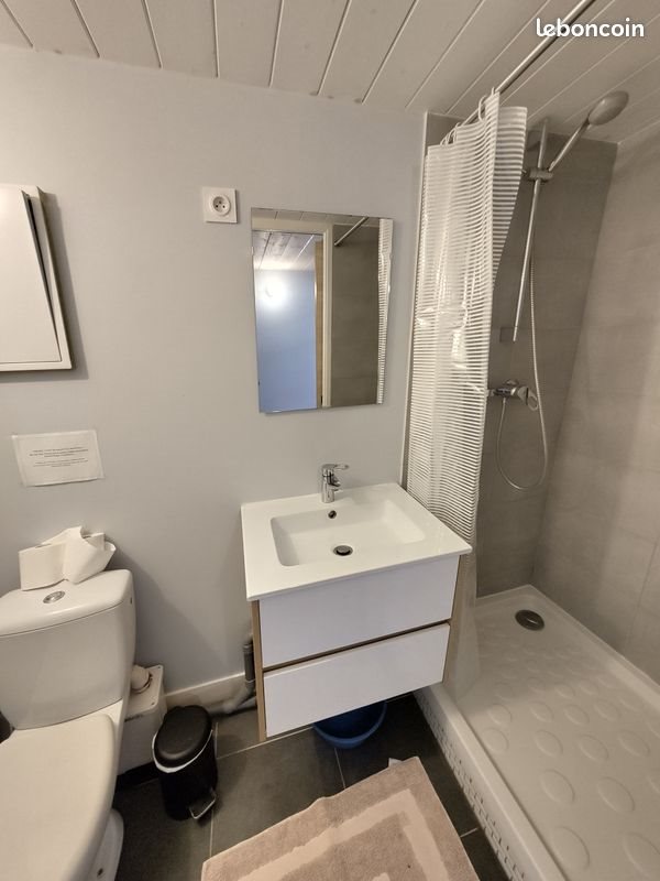 Appartement à vendre, 18m², Lyon 1er