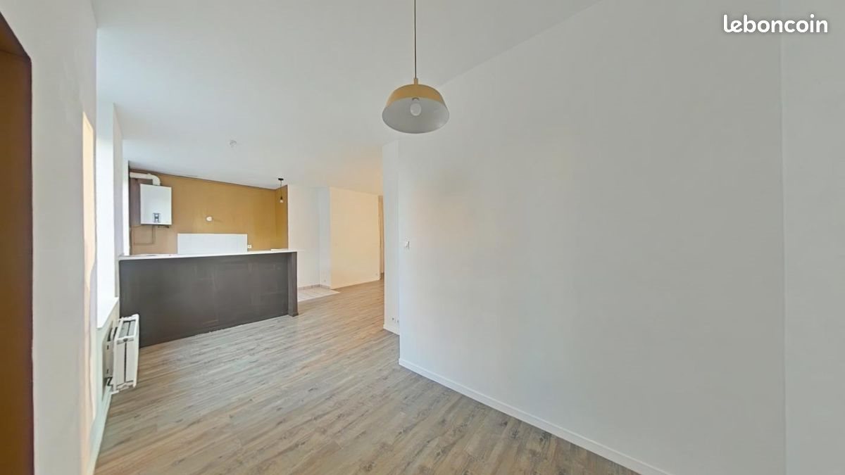 Appartement à louer, 47m², Saint-Etienne