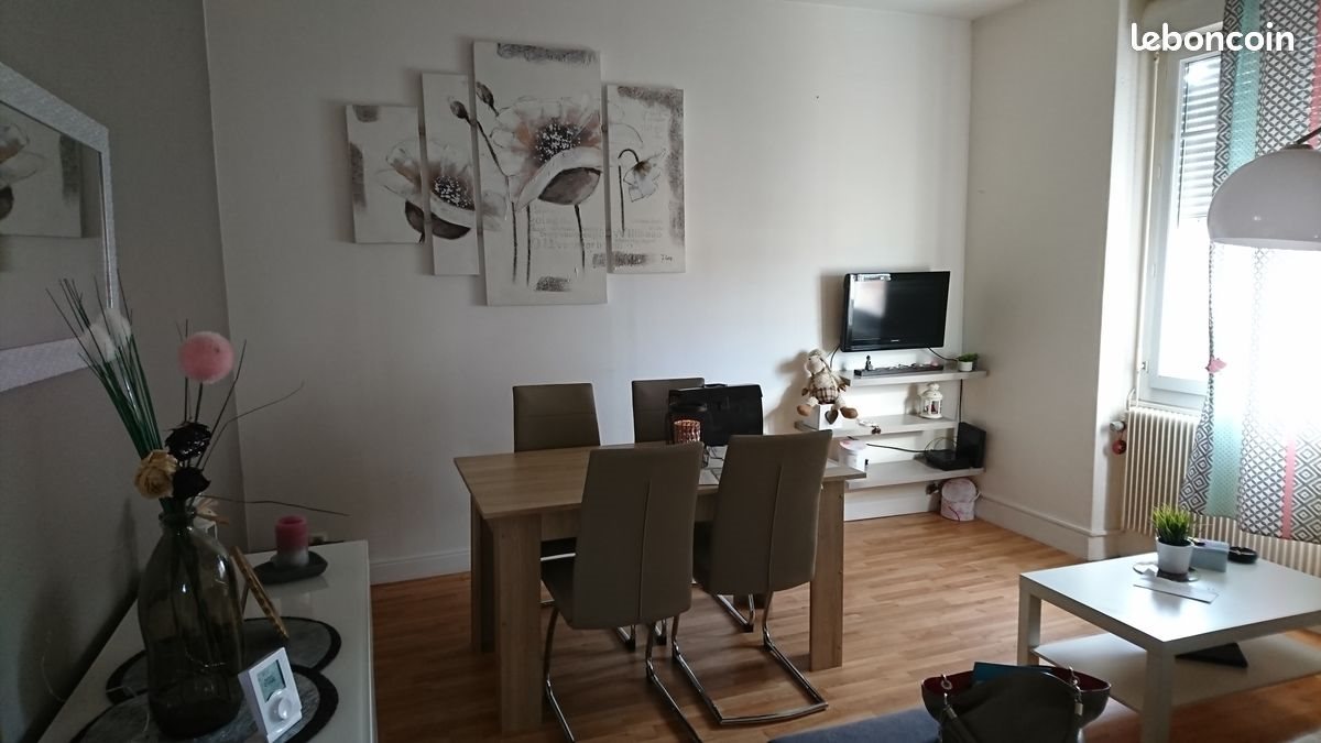 Appartement à louer, 44m², Roche-la-Molière