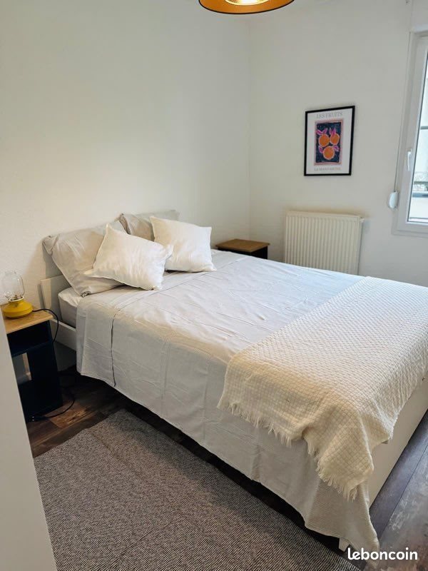 Appartement à louer, 50m², Metz