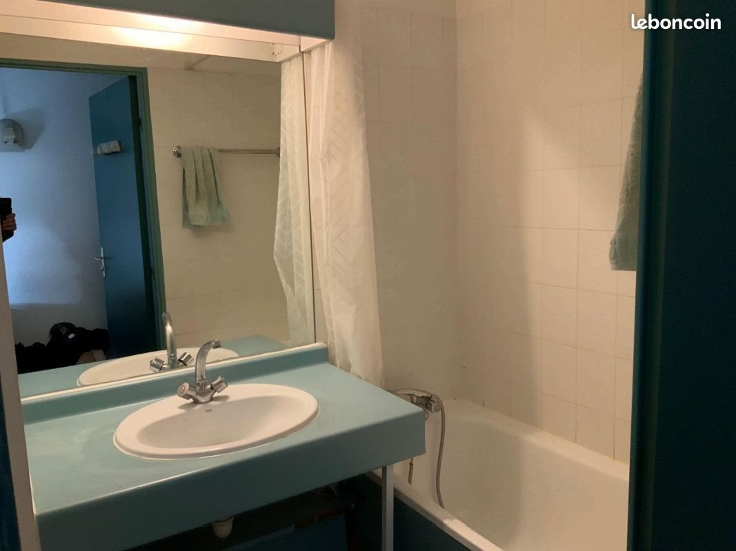 Appartement à louer, 29m², Lyon 9ème