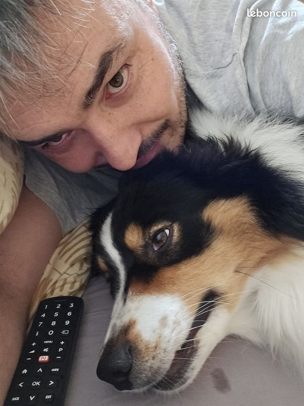 Maison à louer, 65m², Saint-Geniès-des-Mourgues