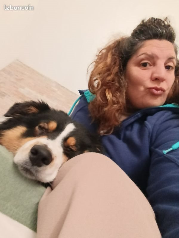 Maison à louer, 65m², Saint-Geniès-des-Mourgues