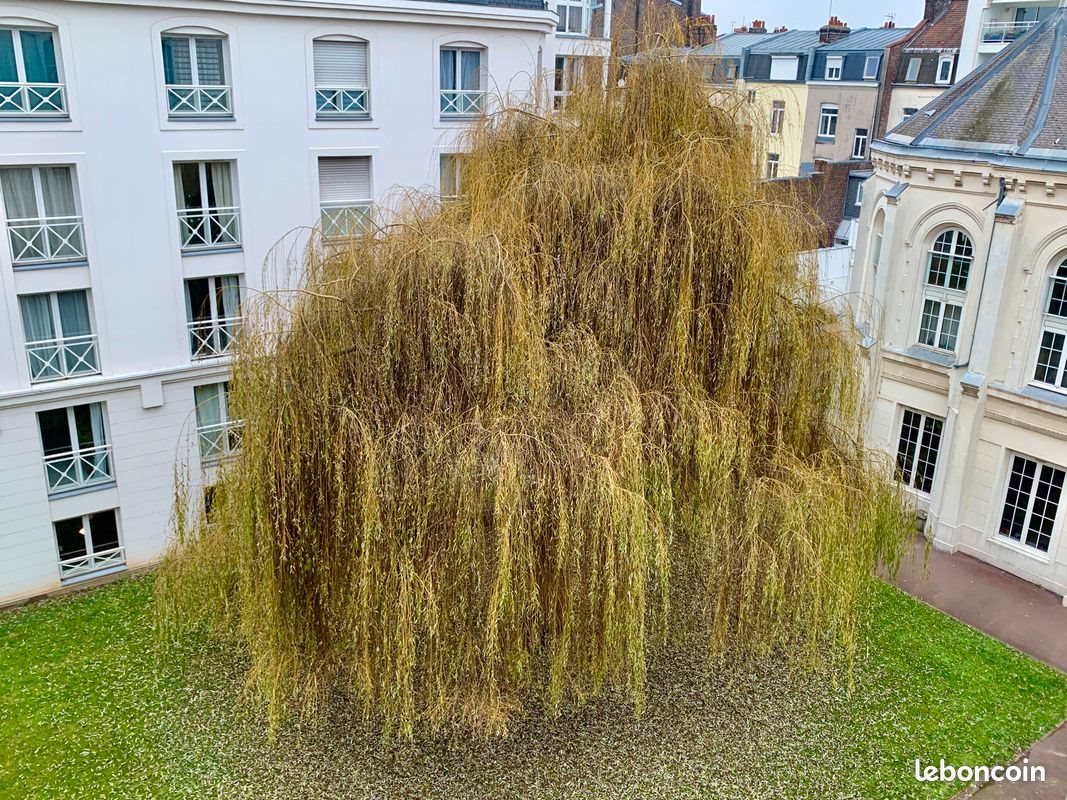 Appartement à louer, 21m², Lille