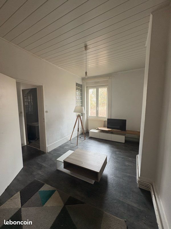 Appartement à louer, 56m², Le Chambon-Feugerolles
